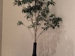 -恒悦轩·粤菜(上海展览中心店)