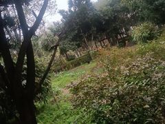 -故乡缘·香格里拉山庄(冷竹路店)