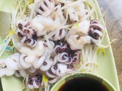 芥末海菊花-贞姨美食·老字号海鲜大排档