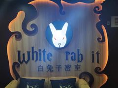 -白兔子密室(长寿路店)
