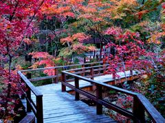 景点-本溪老边沟风景区