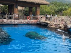 -珠海长隆海洋王国