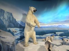 -陕西自然博物馆