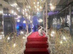 -chi K11艺术空间展览厅