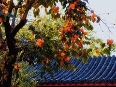 -北京石刻艺术博物馆(五塔寺)