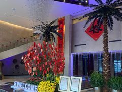 -常州环球恐龙城维景国际大酒店