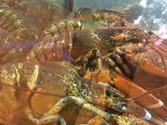 -快乐海鲜城(虎泉街店)