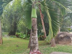 -三亚南山文化旅游区