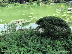 -云溪植物园