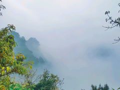 -铁山坪森林公园