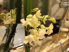 -LONG BAR 廊吧(外滩华尔道夫酒店)