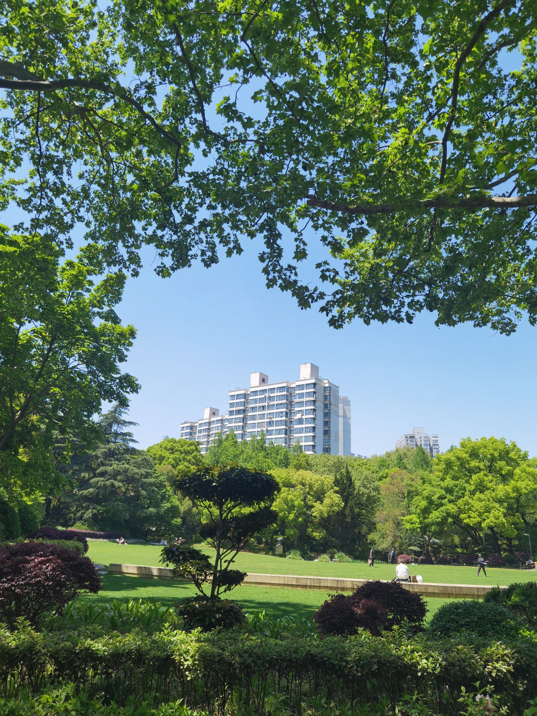 天山公园∥感受自然与宁静