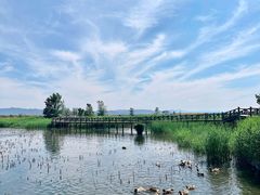 -野鸭湖国家湿地公园