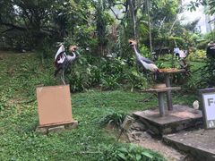 -吉隆坡雀鸟公园