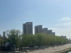 -桃花堤公园