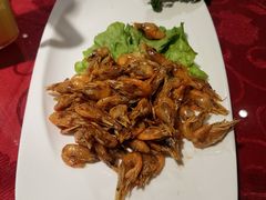 -上海新江南大酒店-中餐厅