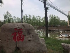 -微山湖红荷湿地景区