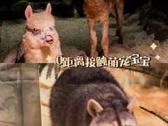 -正佳极地海洋世界