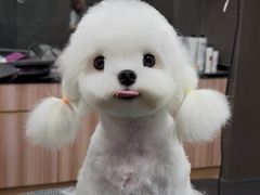 -宠宠熊宠物美容(星湖街店)