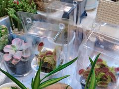 -双季花艺园艺市场(浦东店)