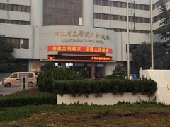 -山东省立医院(中心院区)