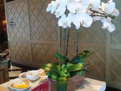 -君悦酒店·乐厨·高空自助餐(青年大街店)