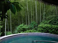 -天目湖御水温泉·度假酒店