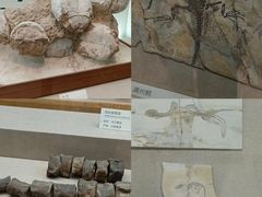 -浙江自然博物院(杭州馆)