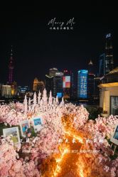 -迈瑞米求婚策划(静安店)