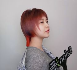 点击看大图 -salon漫