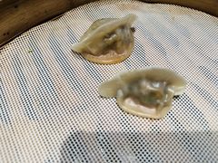 -粗茶淡饭·蒸鲜(光谷店)