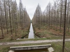 -黄海国家森林公园