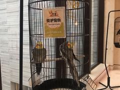 -上海崇明金茂凯悦酒店