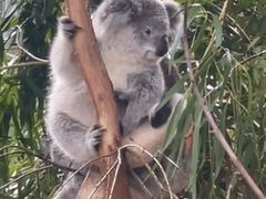 -费瑟代尔野生动物园