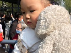 -长白岛森林公园