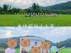 -广州市石门国家森林公园
