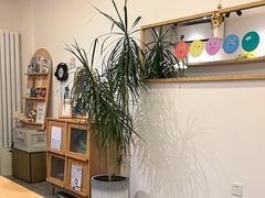-团子君寿司·茶