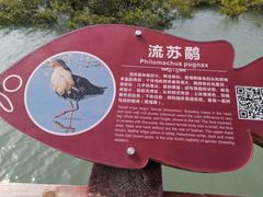 -北海金海湾红树林生态旅游区