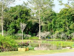 -中国科学院西双版纳热带植物园