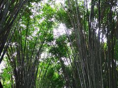 -成都杜甫草堂博物馆