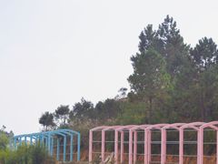 -军营村