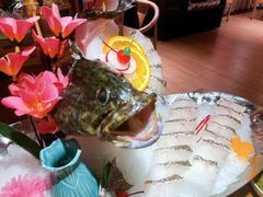 龙趸-尚海豆捞(乐虹坊店)