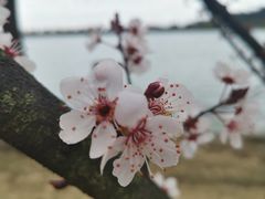 -南北湖风景区