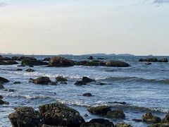 -养马岛旅游度假区