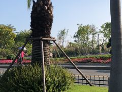 -黄金海岸环岛路