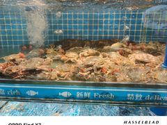 -鲜鲜·鲅鱼圈海鲜(于洪店)