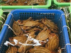 -中国舟山国际水产城