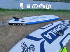 -春花秋色城市公园