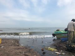 -尼甘布海鲜市场