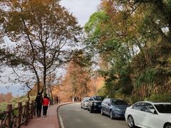 -广州市石门国家森林公园